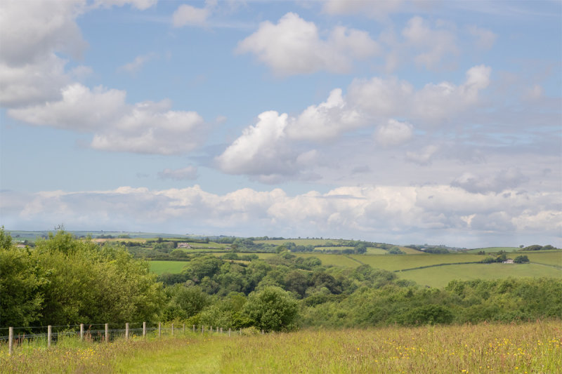 Week 21 - View from Woodleigh Wood.jpg