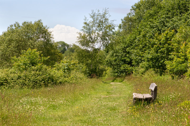 Week 21 - View from Woodleigh Wood #3.jpg