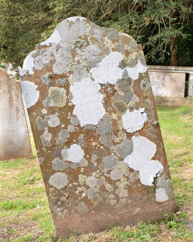 Week 22 - Old Gravestones #2.jpg