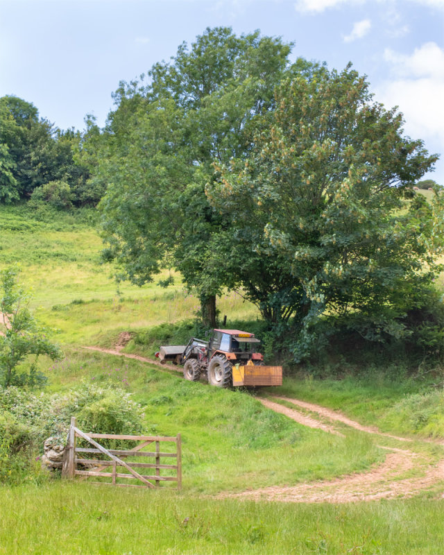 Week 26 - Moving a sheep feeder - North Sands Valley #2.jpg