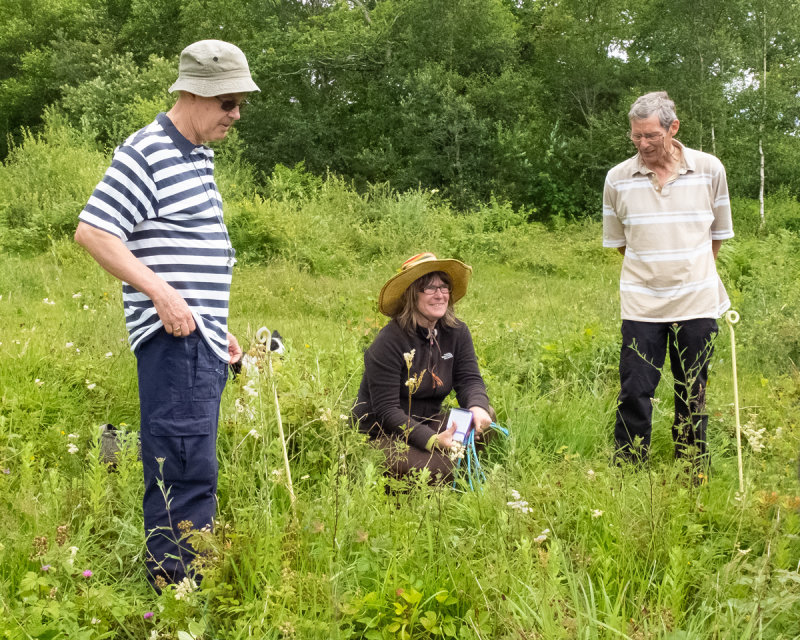 Week 28 - Andrews Wood Plant Survey 20/07/19.jpg