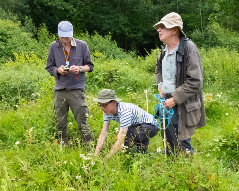 Week 28 - Andrews Wood Plant Survey 20/07/19 #22.jpg
