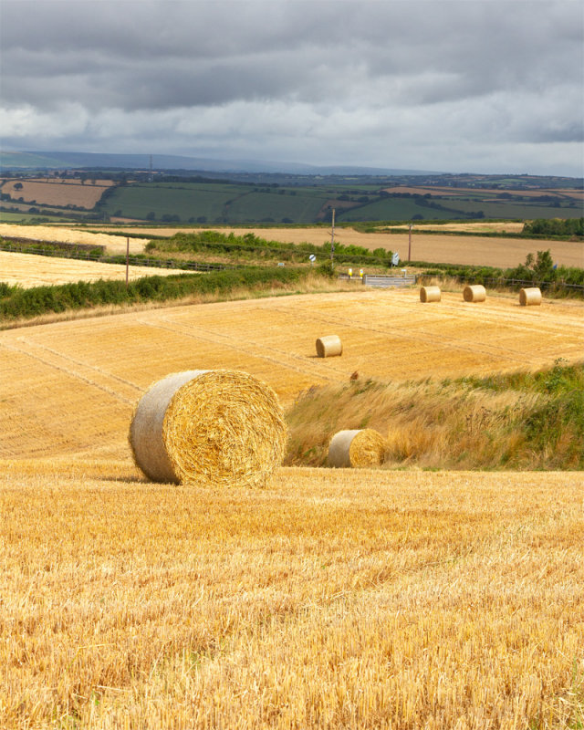 Week 29 - Straw bales at Motherhill Farm.jpg