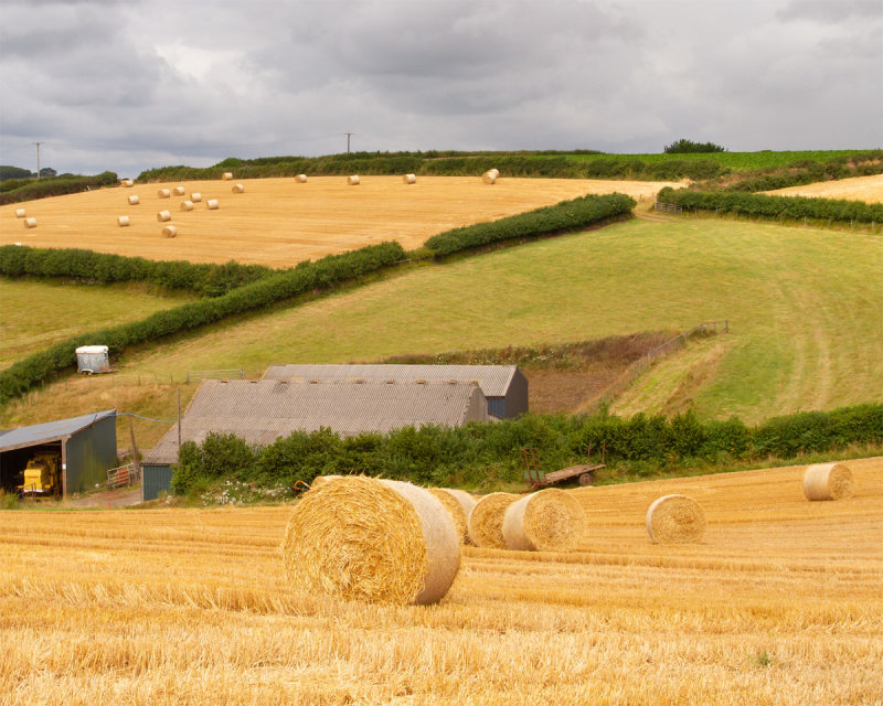 Week 29 - Motherhill Farm.jpg