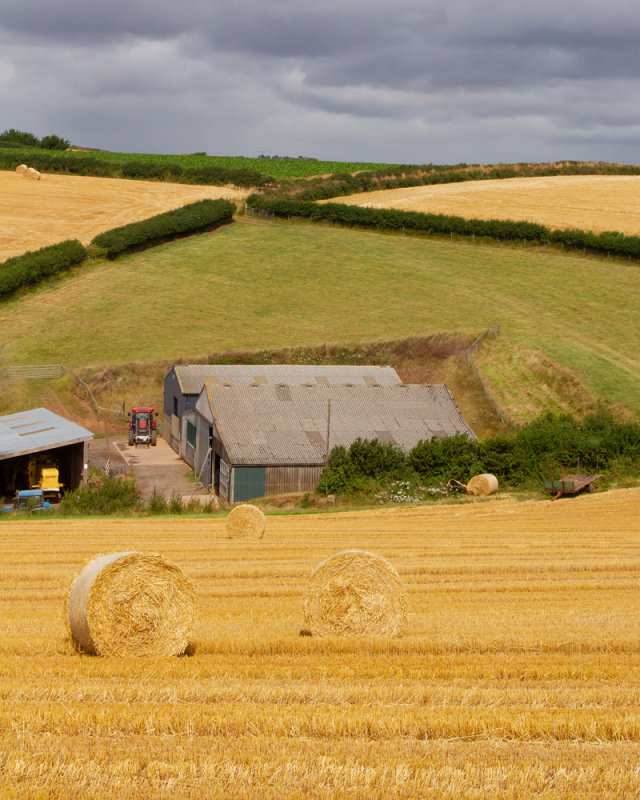 Week 29 - Motherhill Farm #2.jpg