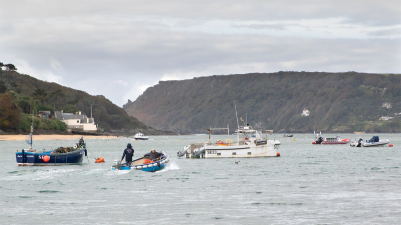 Week 38 - Boats in Salcombe Harbour #2.jpg