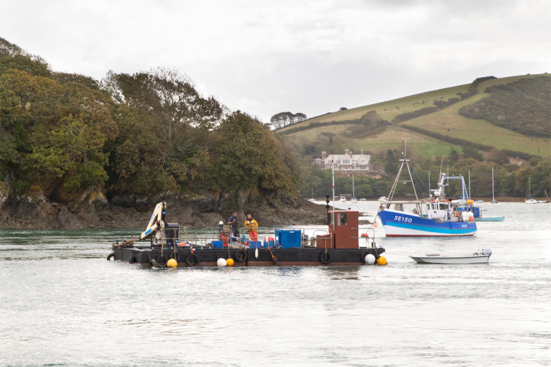 Week 38 - Boats in Salcombe Harbour #4.jpg