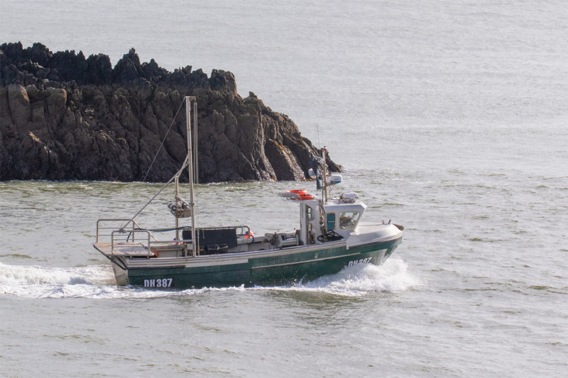 Dartmouth Boats 15-10-19