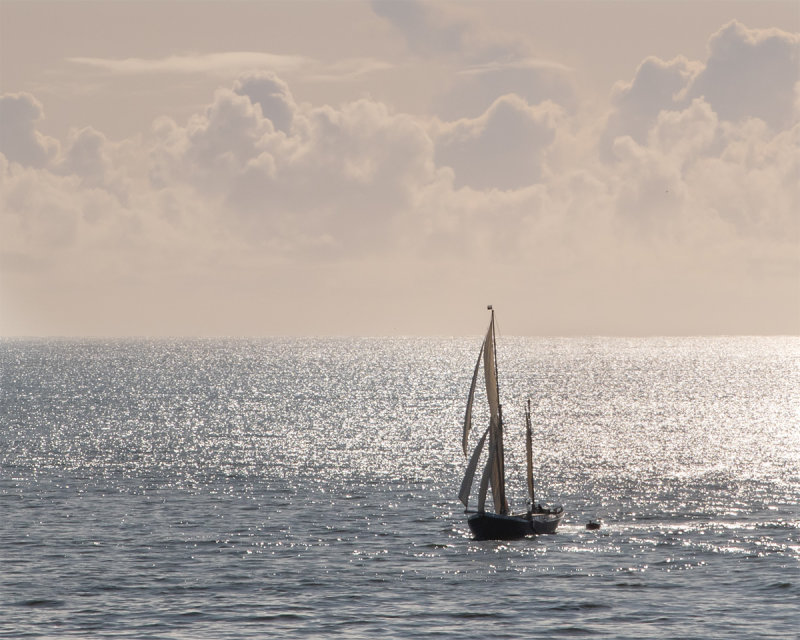 Snark off Dartmouth 15/10/19.jpg
