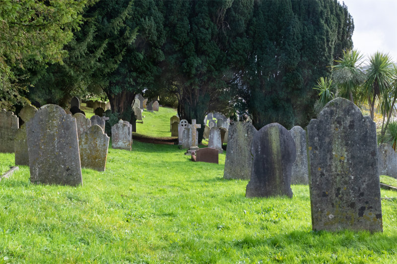 Week 42 - Path in Shadycombe Cemetery.jpg