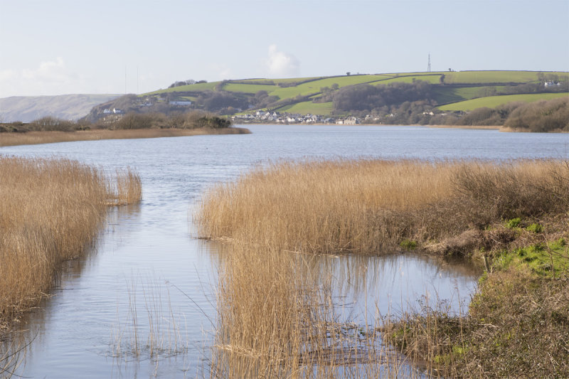 Week 09 - Slapton Ley.jpg