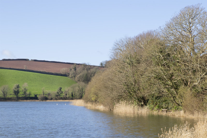 Week 09 - Slapton Ley #2.jpg
