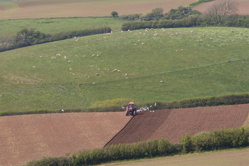 Week 17 - Ploughing at Motherhill Farm.jpg