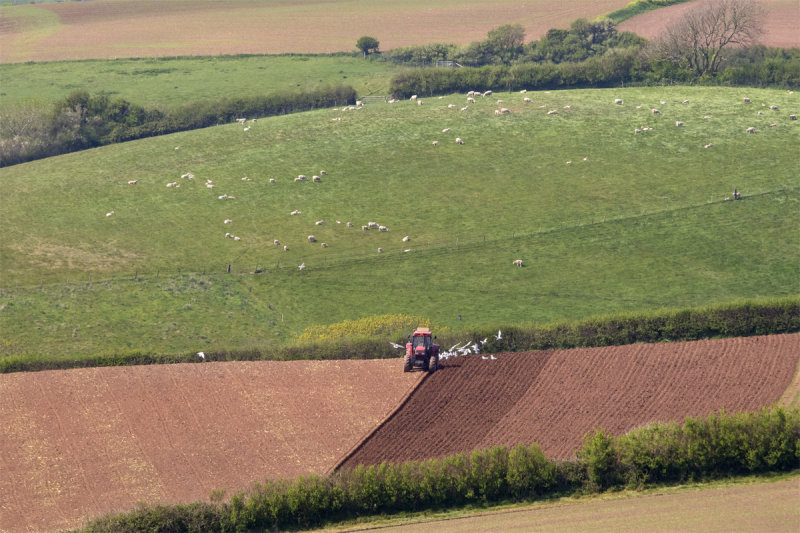 Motherhill Farm from Main Road 21-04-20 alt edit.jpg