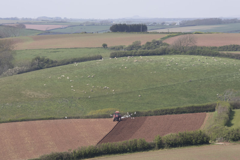 Ploughing - unedited image.jpg