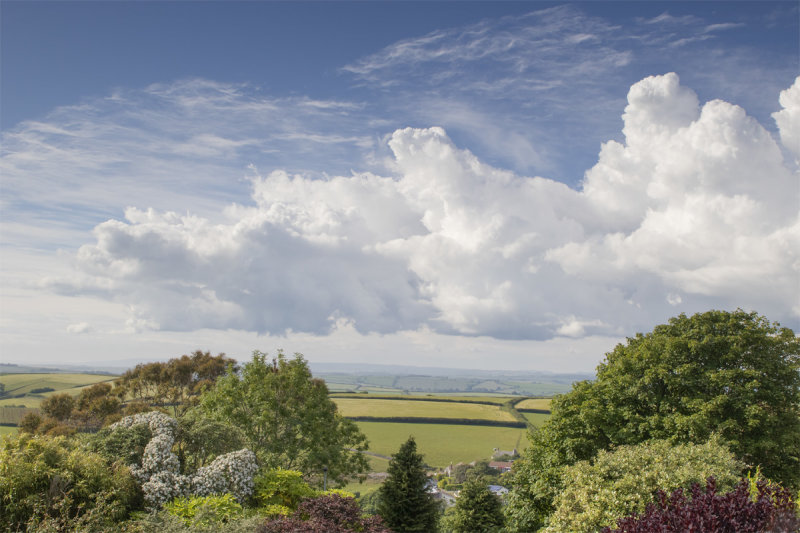 Week 25 - Clouds.jpg