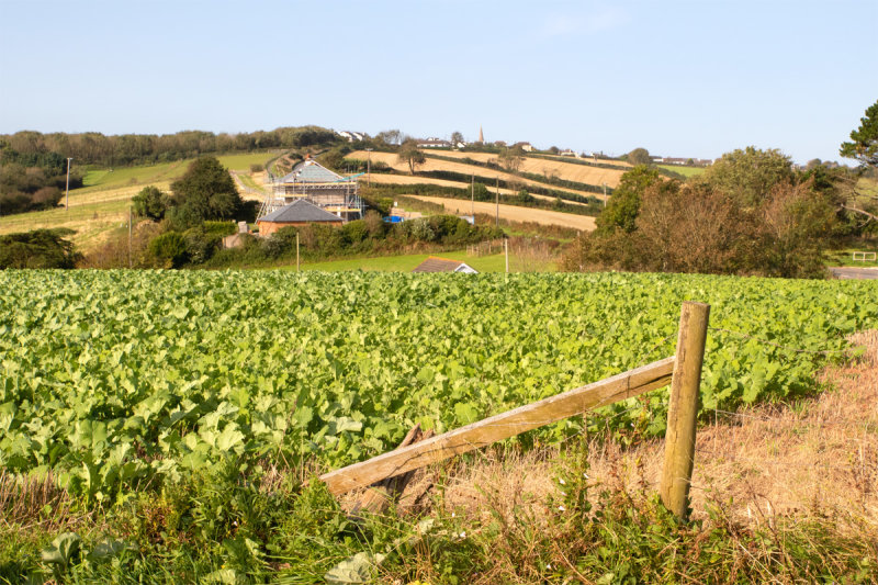 Week 37 - Looking towards Malborough.jpg