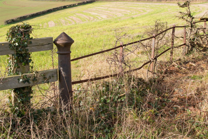 Week 50 - Snapes Point Fence.jpg