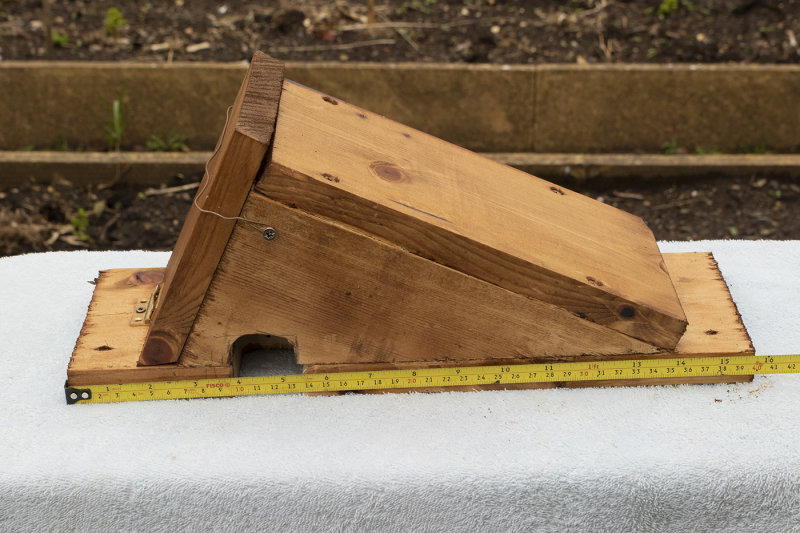Experimental Treecreeper Nestbox - design 1.jpg