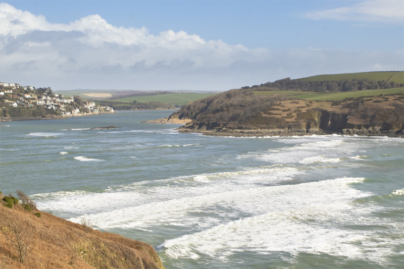 Week 10 - Salcombe Harbour from the Cliff Path.jpg