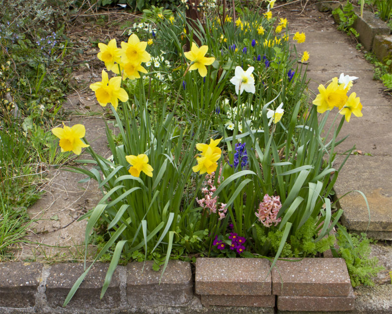 March Flowers 20-03-21.jpg