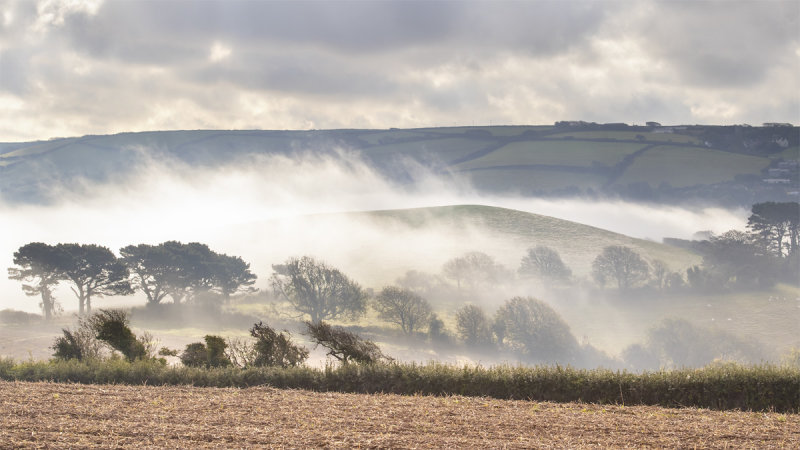 Week 40 - Salcombe - Misty Morning from Snapes Point Path #2.jpg