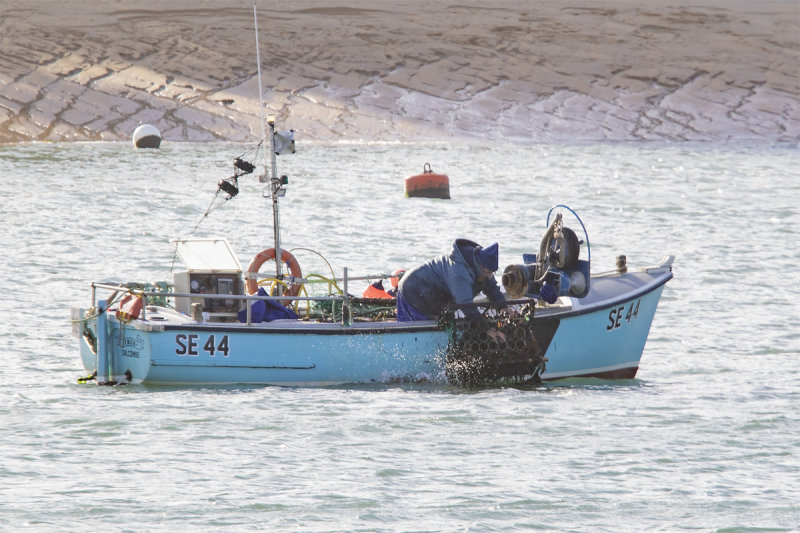 Week 05 - Fishing for scallops in Salcombe Harbour.jpg