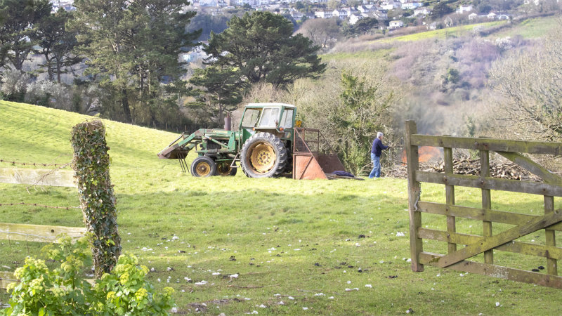 Week 13 - Tree Felling at Snapes Point - Salcombe.jpg