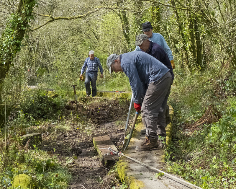 Week 15 - Maintenance Work at Andrews Wood #3.jpg