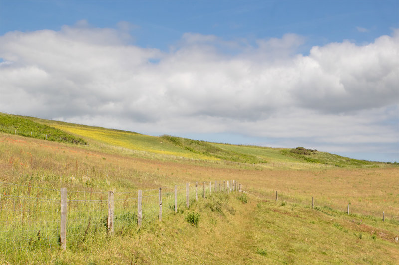 Week 22 - Sunshine & Clouds - Soar Mill Cove.jpg