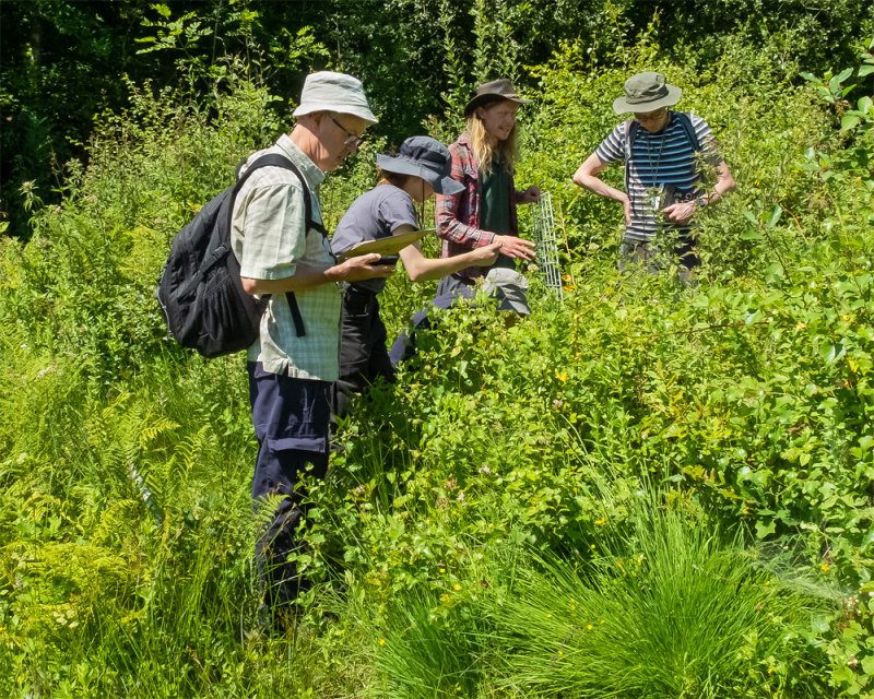 Week 30 - Andrews Wood Plant Survey #3.jpg