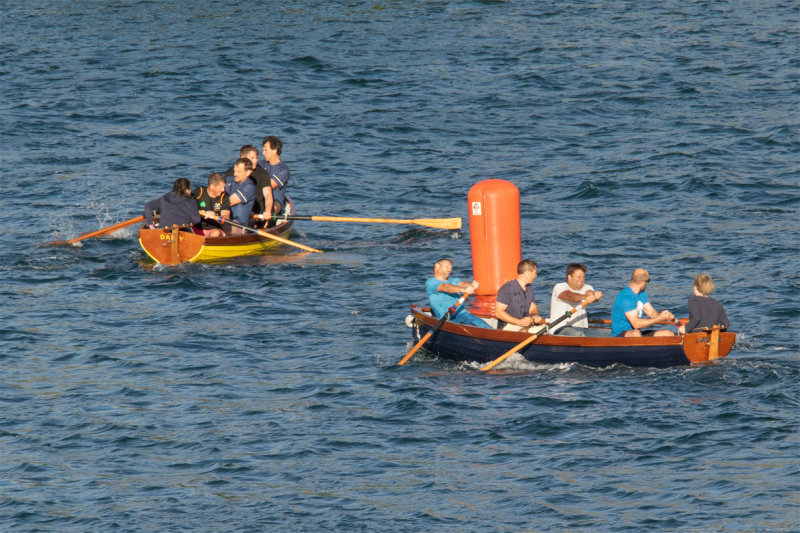 Week 33 - Regatta Rowing #2.jpg