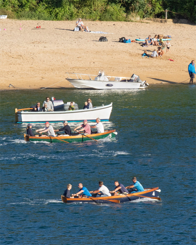 Week 33 - Regatta Rowing #3.jpg
