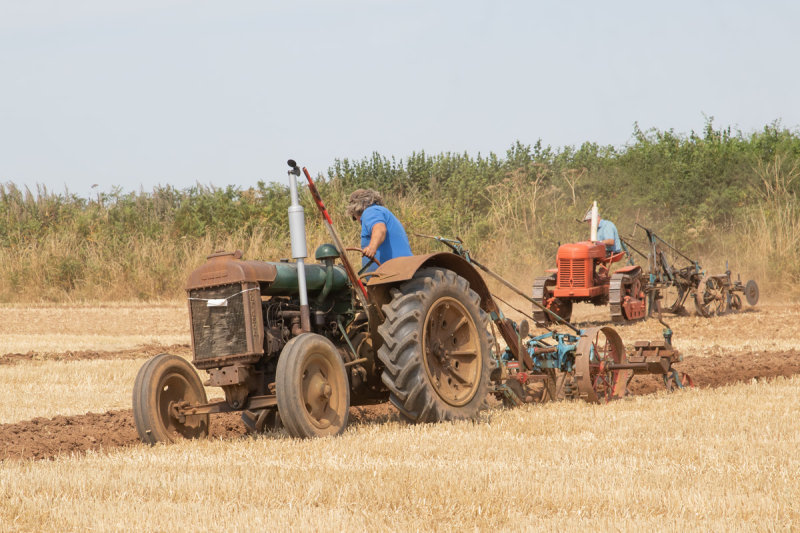 Fordson Major & Cletrac Crawler Ploughing 13-08-22.jpg