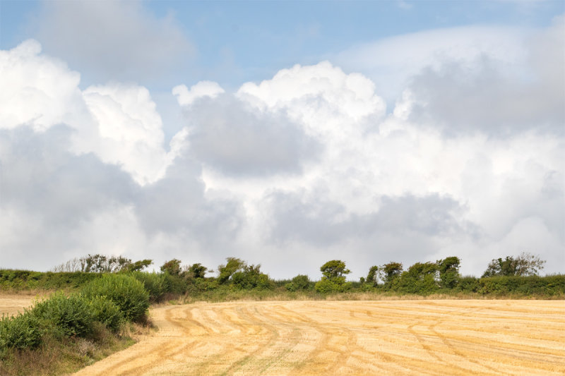 Week 35 - Snapes Point - Clouds.jpg