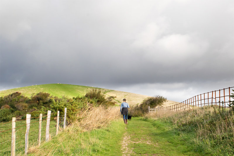 Week 41 - Rain Coming - Snapes Point Path.jpg