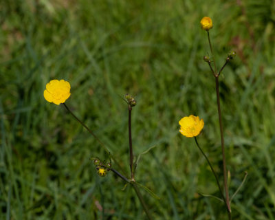 g12/49/898249/3/169192762.O5ltF8CG.jpg