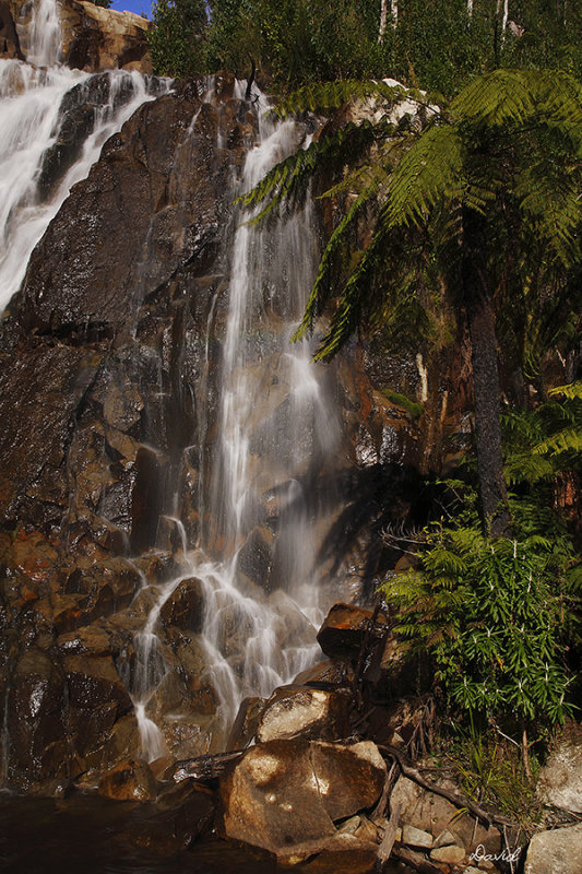  Steavensons Falls 