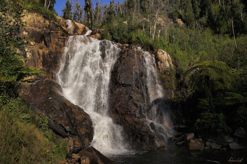 Steavensons Falls