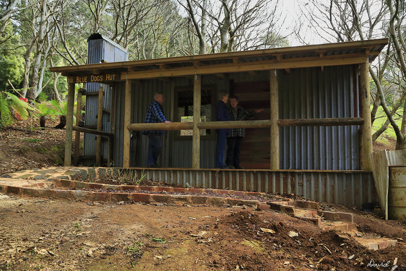 Blue Dogs Hut