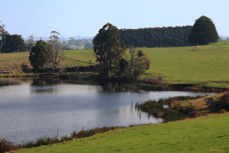 Private Lake 