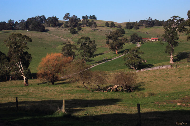  Country Property 