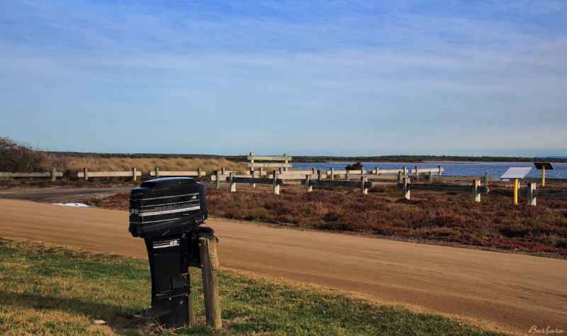 Quirky Mailbox 