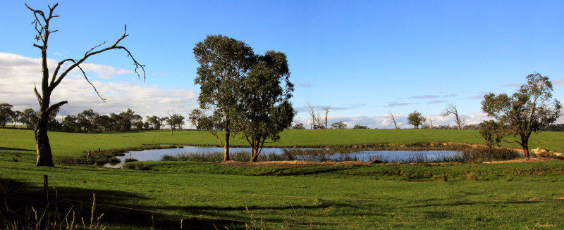 Trafalgar East