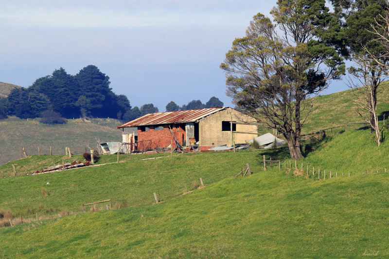 Tetoora