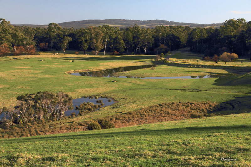 Yallourn North.