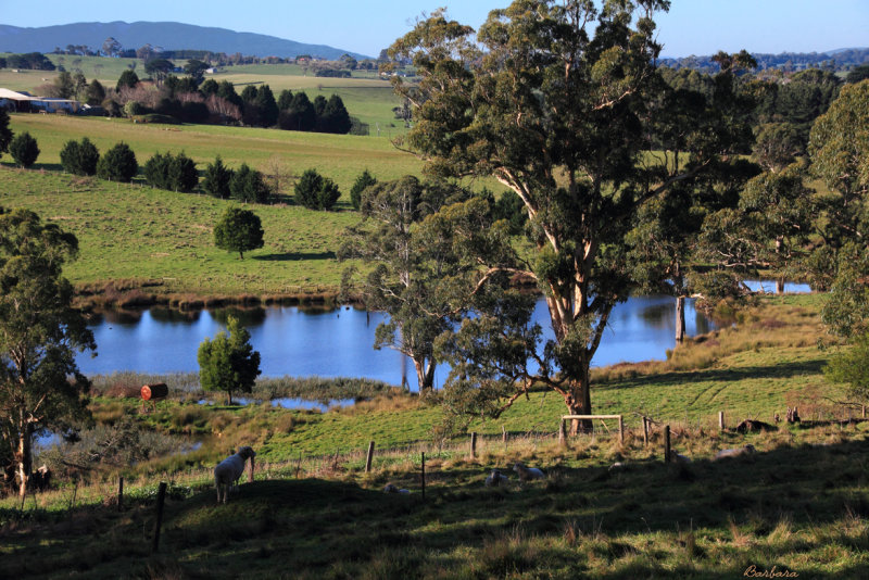 Lardner Track Lake