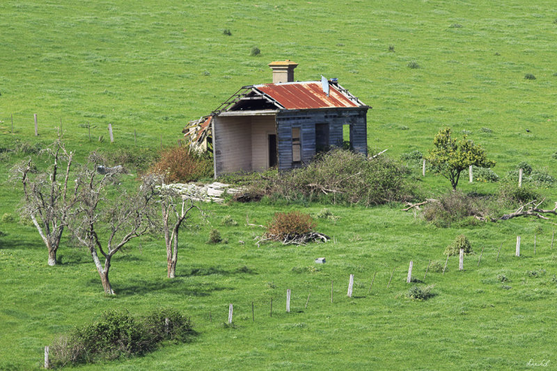 Small Cottage 