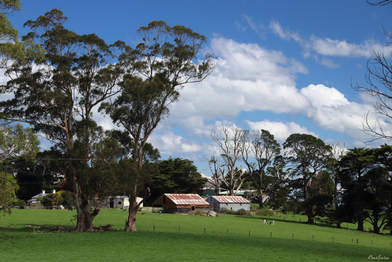 Drouin East