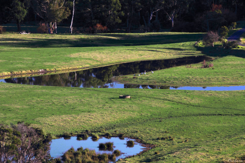 Yallourn North.